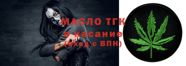 хмурый Дмитриев