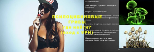 меф Дмитров