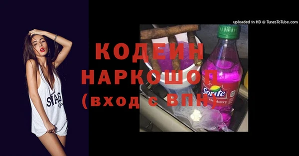 амф Гусев