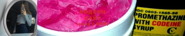 амф Гусев