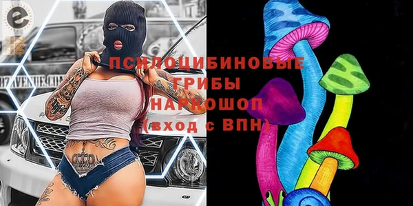 тгк Гусь-Хрустальный