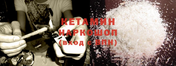 амф Гусев