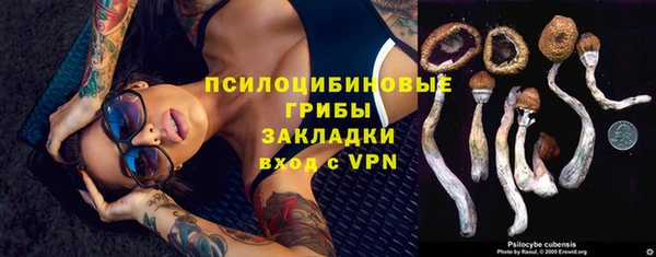 амф Гусев