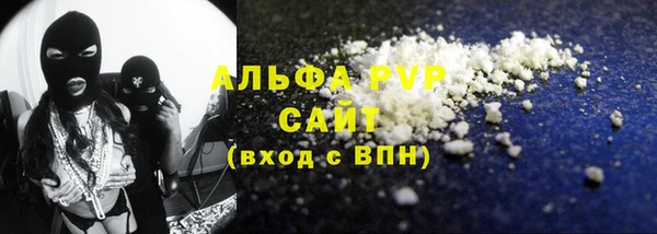 амф Гусев