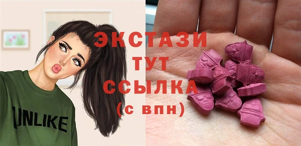 амф Гусев