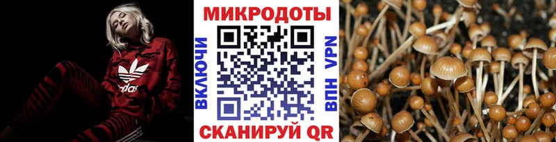 маркетплейс официальный сайт  Пласт  Галлюциногенные грибы Psilocybe 