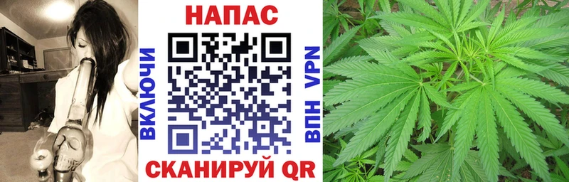 как найти закладки  Пласт  Конопля сатива 
